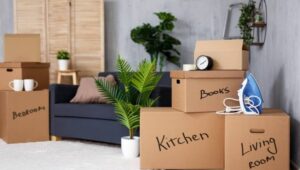 Packers and Movers Dwarka