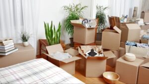 Packers and Movers Mahipalpur