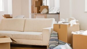 Packers and Movers Noida